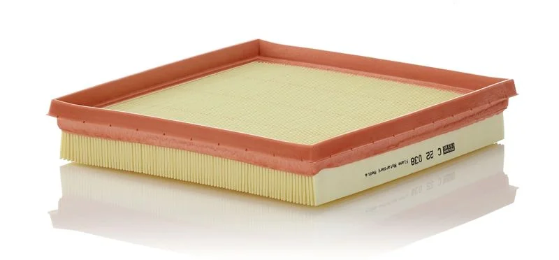 Oro filtras MANN-FILTER C22038