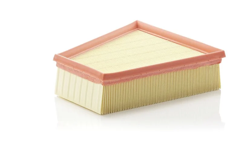 Oro filtras MANN-FILTER C2295/2