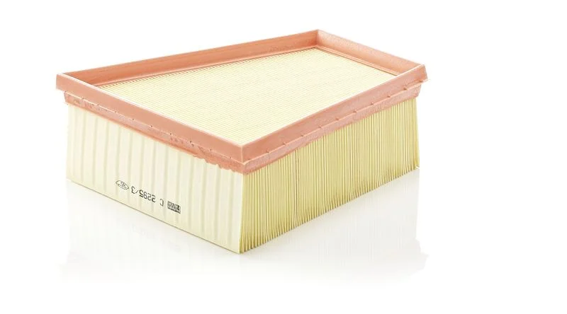 Oro filtras MANN-FILTER C2295/3