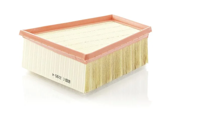 Oro filtras MANN-FILTER C2295/4
