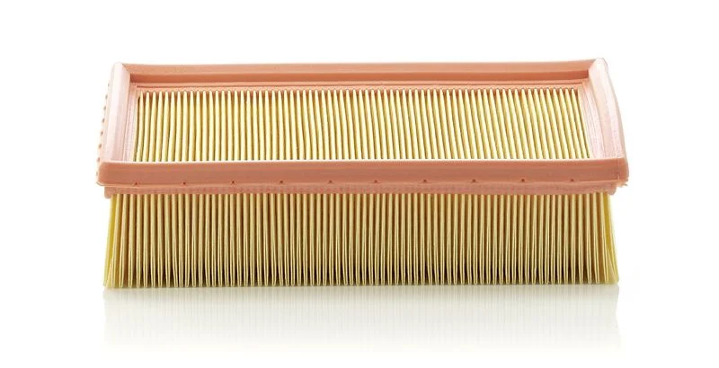 Oro filtras MANN-FILTER C24105
