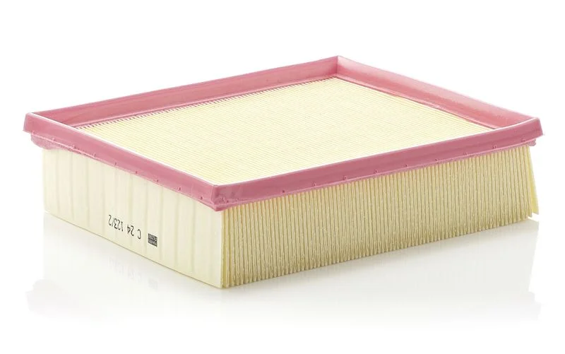 Oro filtras MANN-FILTER C24123/2