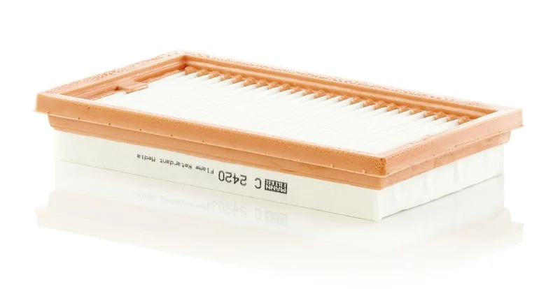 Oro filtras MANN-FILTER C2420