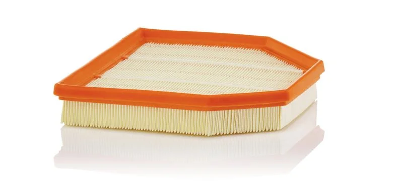 Oro filtras MANN-FILTER C 24 242
