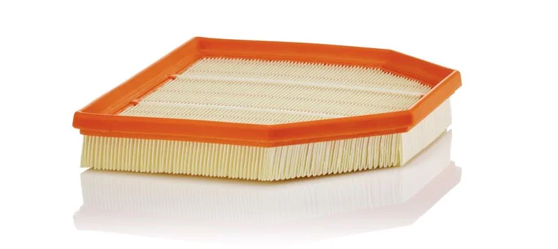 Oro filtras MANN-FILTER C24243