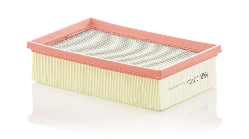 Oro filtras MANN-FILTER C25021
