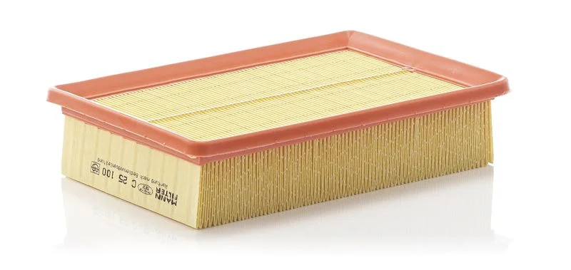 Oro filtras MANN-FILTER C 25 100