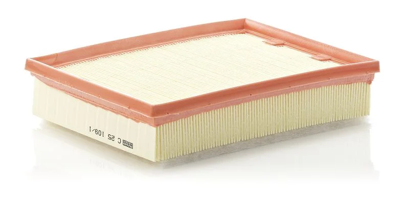 Oro filtras MANN-FILTER C25109/1
