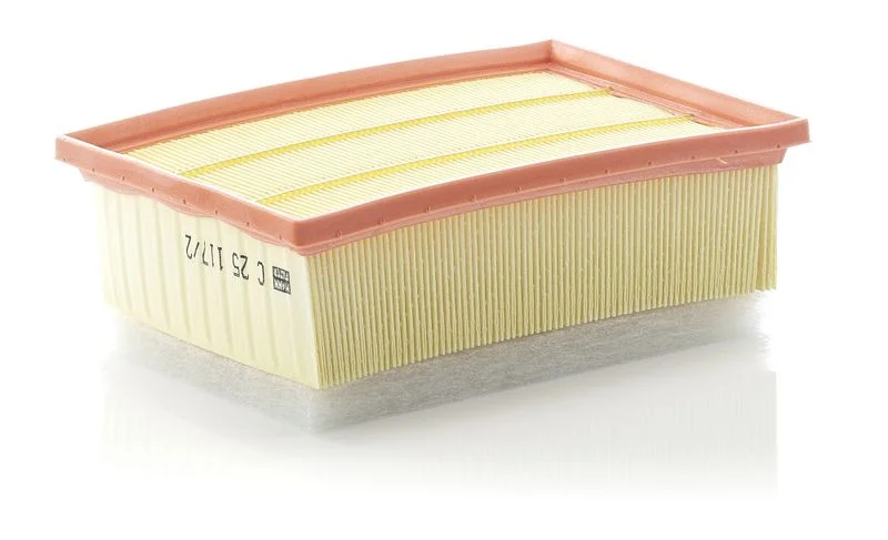 Oro filtras MANN-FILTER C 25 117/2