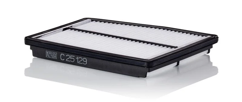 Oro filtras MANN-FILTER C25129