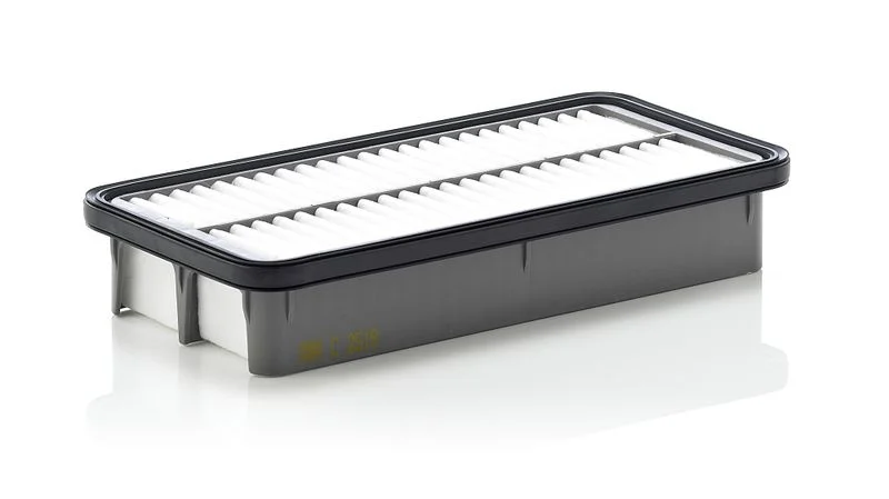 Oro filtras MANN-FILTER C 2519
