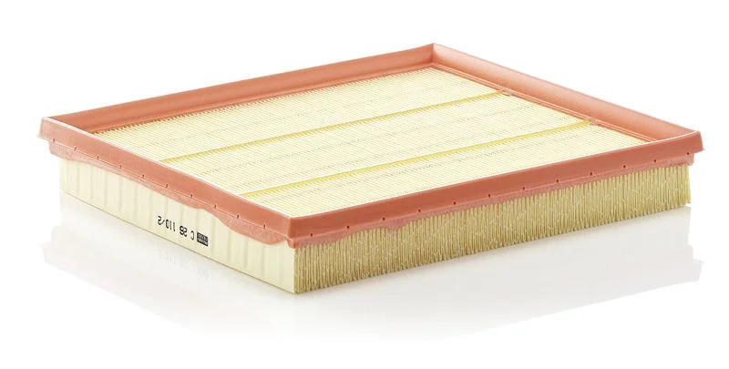 Oro filtras MANN-FILTER C26110/2