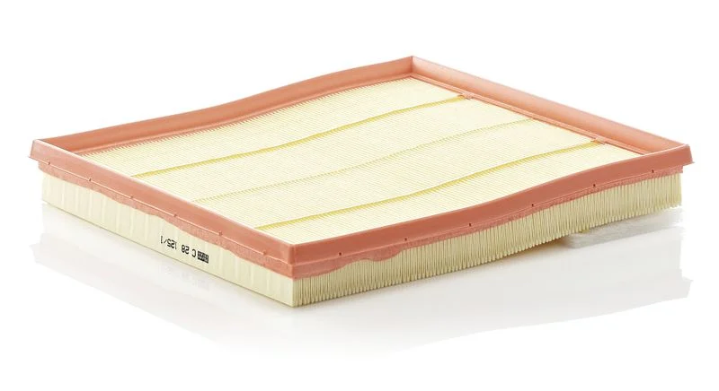 Oro filtras MANN-FILTER C28125/1