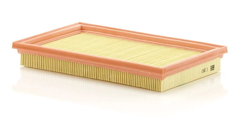 Oro filtras MANN-FILTER C2851