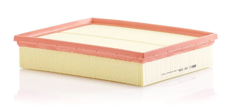 Oro filtras MANN-FILTER C 29 029