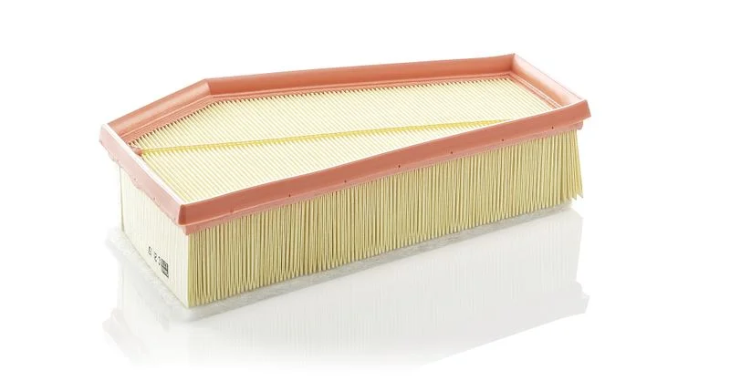 Air Filter MANN-FILTER C29150