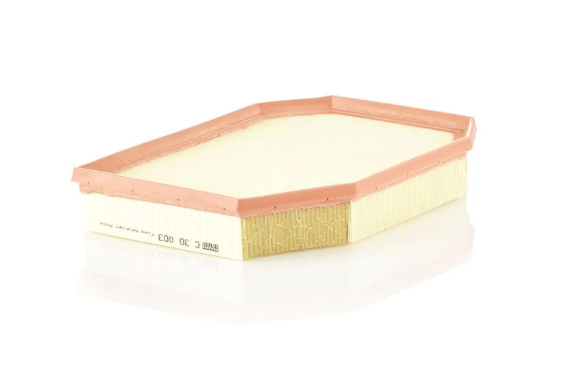 Oro filtras MANN-FILTER C30003