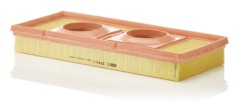 Oro filtras MANN-FILTER C3744/1