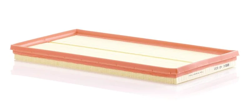 Oro filtras MANN-FILTER C42002