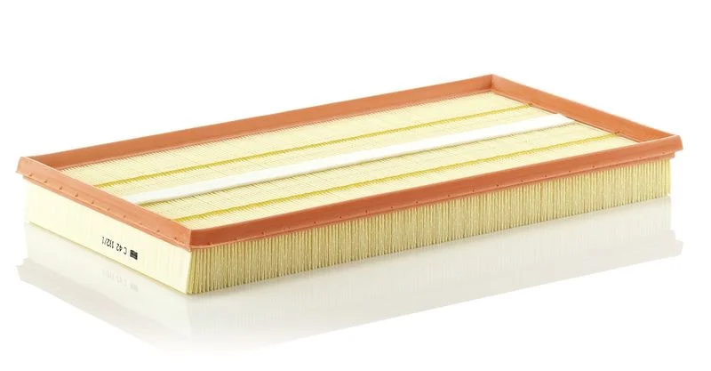 Oro filtras MANN-FILTER C 42 192/1