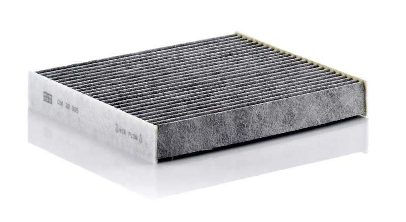 Filtras, salono oras MANN-FILTER CUK 22 005
