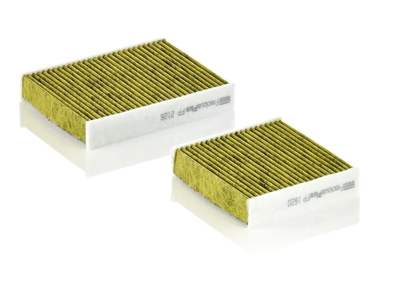 Filtras, salono oras MANN-FILTER FP21000-2