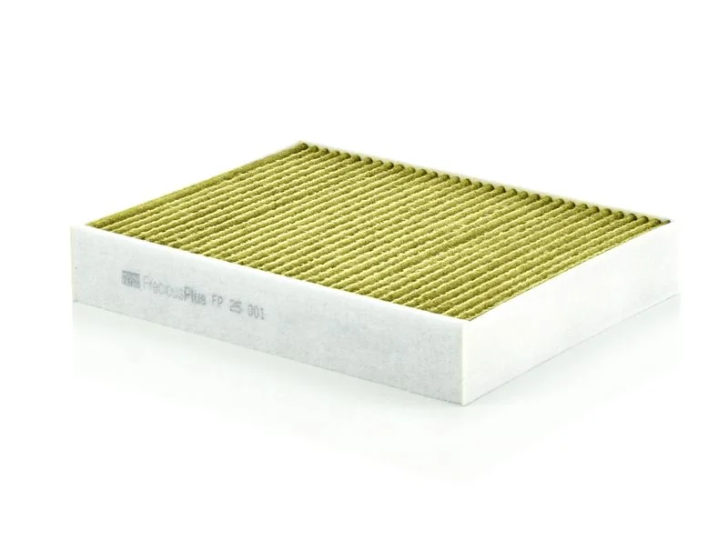 Filtras, salono oras MANN-FILTER FP 25 001