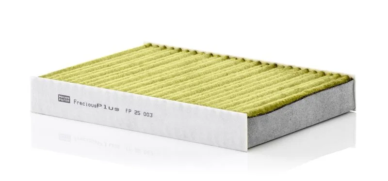 Filtras, salono oras MANN-FILTER FP25003