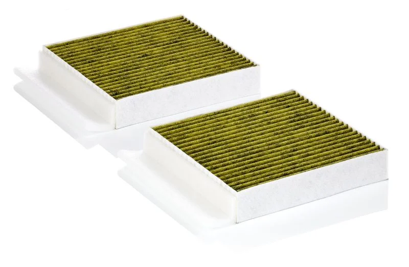 Filtras, salono oras MANN-FILTER FP25034-2