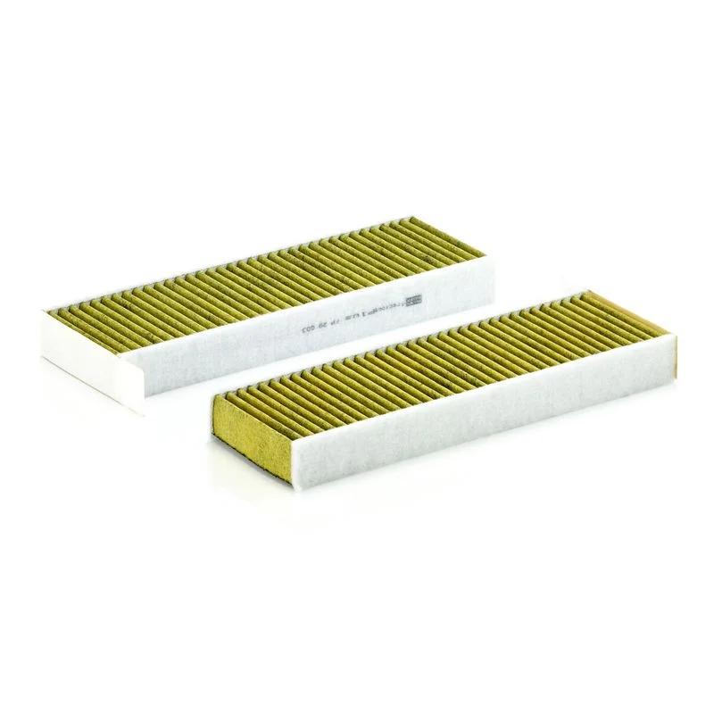 Filtras, salono oras MANN-FILTER FP 29 003-2