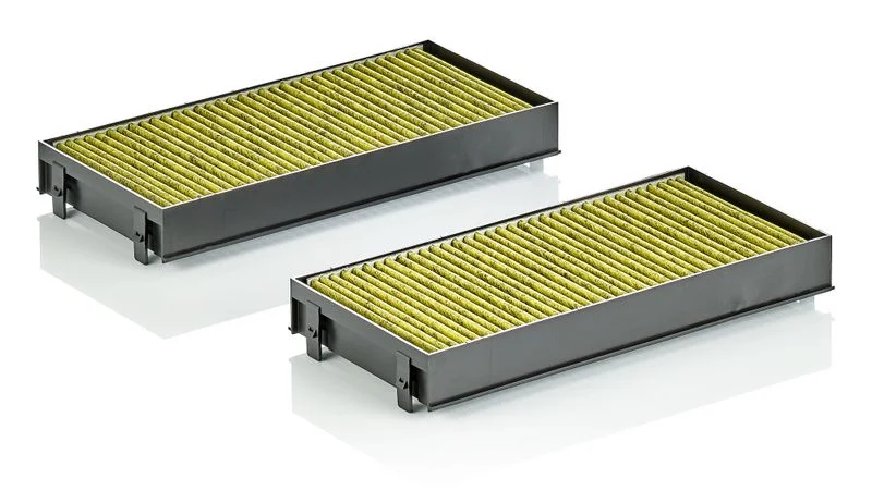 Filtras, salono oras MANN-FILTER FP2941-2