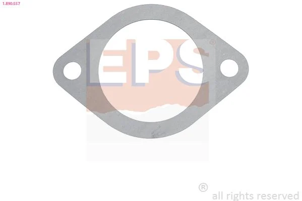 Tesnenie, termostat EPS 1.890.557