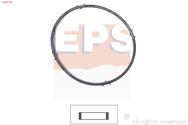 Seal, thermostat EPS 1.890.701