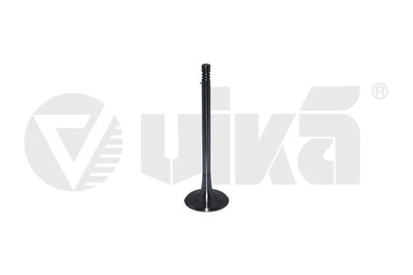 Intake Valve vika 11091777001