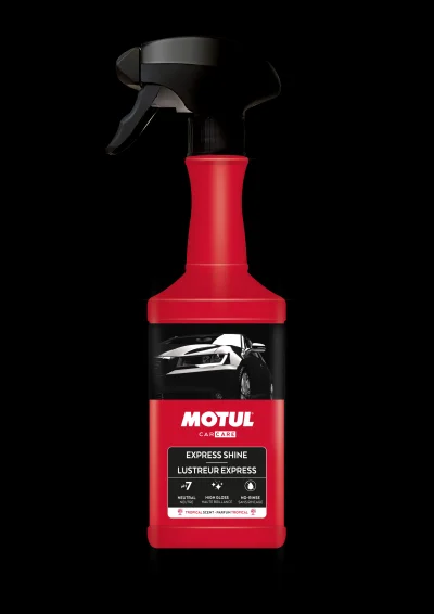 Universalus variklis MOTUL 110154