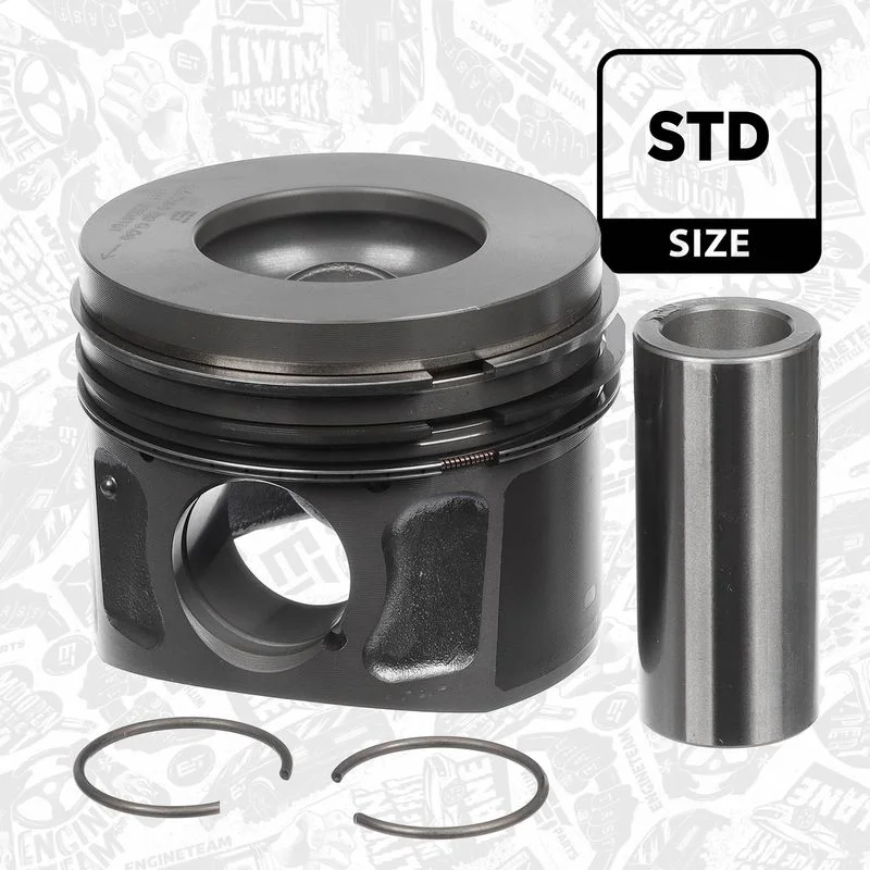 Stūmoklis  PM001200