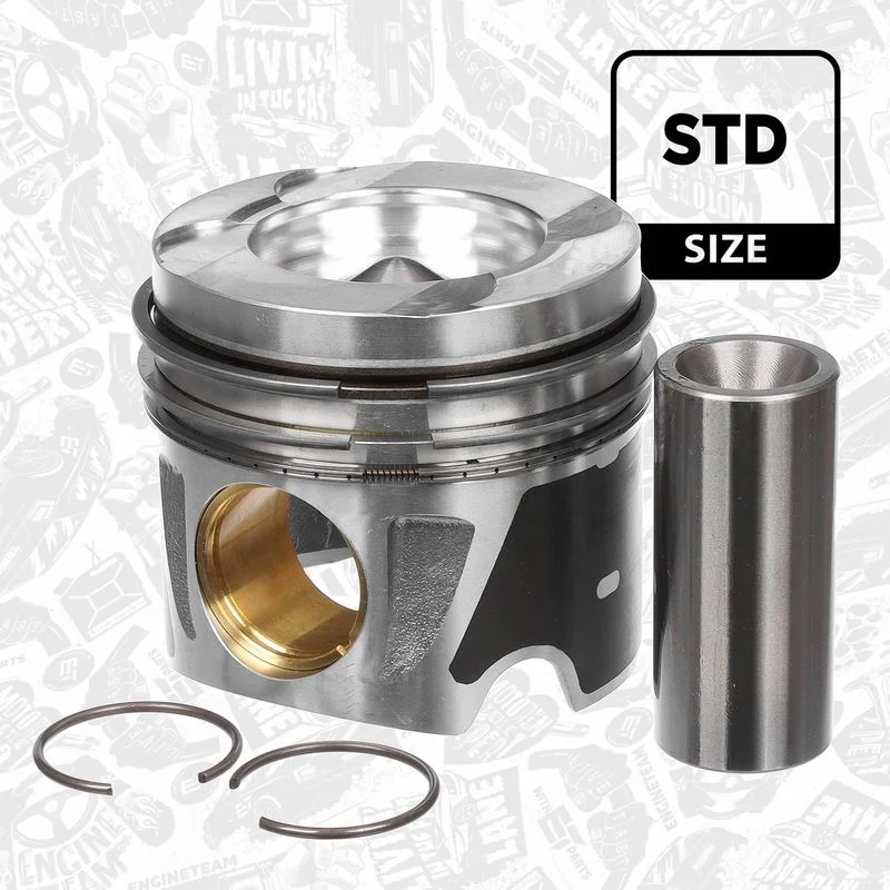 Stūmoklis  PM006500