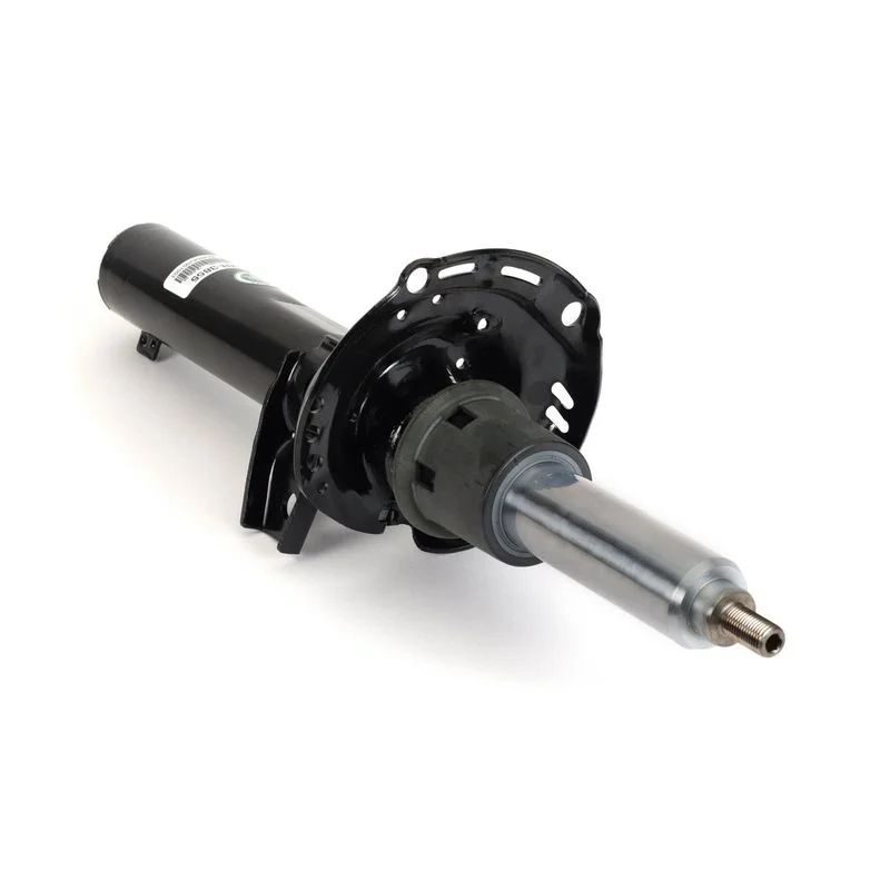Amortizatorius Arnott MR-3855