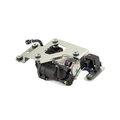 Kompresorius, suspausto oro sistema Arnott P-3221