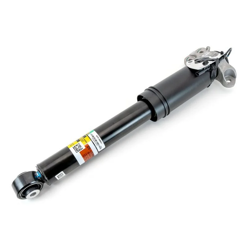 Amortizatorius arnott MR-5660