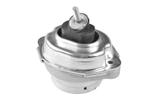 Variklio montavimas TEDGUM PSA 00088708