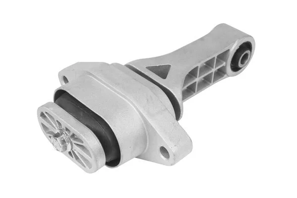 Variklio montavimas TEDGUM PSA 00128344