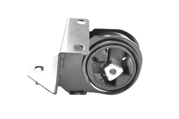 Variklio montavimas TEDGUM 00133693