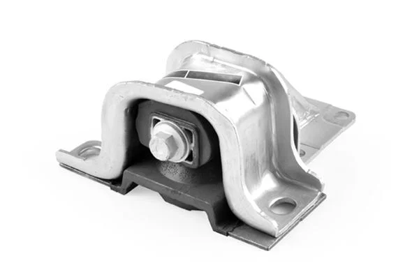 Variklio montavimas TEDGUM 00219302
