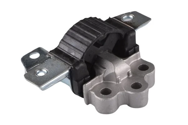 Variklio montavimas  00219579