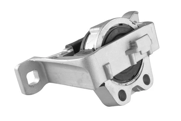 Variklio montavimas 00221651
