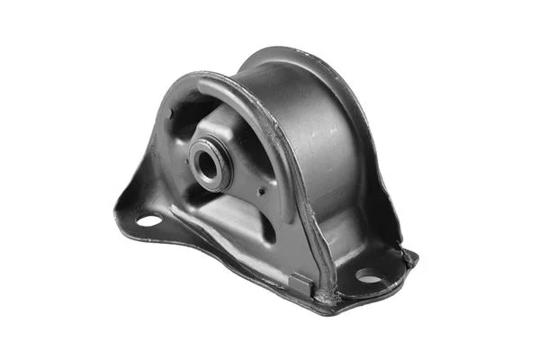 Variklio montavimas  00262598