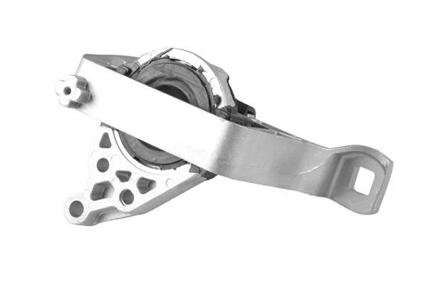 Variklio montavimas 00391638