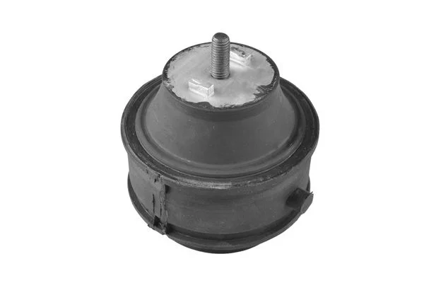 Variklio montavimas TEDGUM 00725103