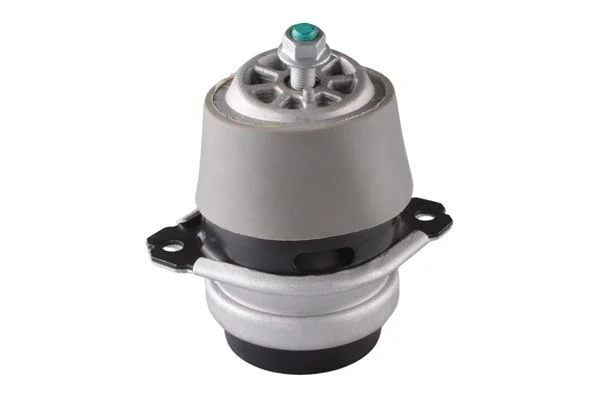 Variklio montavimas TEDGUM PSA 00728486